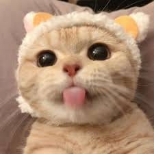 Andrea Hirata avatar